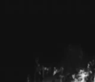 🀄 4142e575 whatsapp sticker