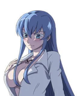 👙 ca60127a Esdeath Akame ga Kill! Anime, Méchant, Femme, Glace, Général whatsapp sticker