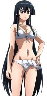 Akame ga Kill! telegram stickers