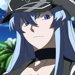 😕 90607468 Esdeath Akame ga Kill! Anime, Personnage, Esdeath, Akame Ga Kill, Femme, Cheveux bleus telegram sticker
