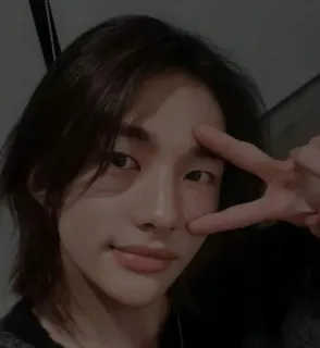 🎲 fc728b89 Person, K-Pop, Mann, Porträt, Koreanisch, Sänger telegram sticker