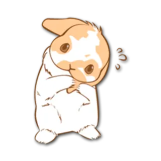 😟 02bf00e3 กระต่าย, น่ารัก, สัตว์, คาวาอิ, บันนี่ whatsapp sticker