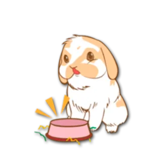 😋 52041242 กระต่าย, สัตว์เลี้ยง, สัตว์, น่ารัก, ชาม, อาหาร, น่าเอ็นดู, ในบ้าน whatsapp sticker