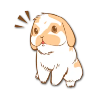 😯 c9b12053 กระต่าย, น่ารัก, สัตว์, การ์ตูน, สัตว์เลี้ยง whatsapp sticker