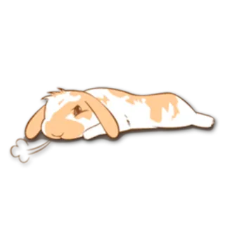💤 ddd19b22 กระต่าย, บันนี่, น่ารัก, นอนหลับ, สัตว์, การ์ตูน whatsapp sticker