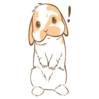 ❕ 28b25b0e lapin, lapin, mignon, animal, mammifère telegram sticker