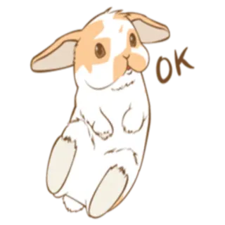 👌 57844ca5 OK lapin, lapin, ok, animal, mignon, dessin animé telegram sticker