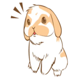 🙃 5b409603 lapin, animal, mignon, dessin animé, animal de compagnie, lapinou telegram sticker