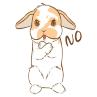 😔 78e5c9cc NO lapin, lapinou, non, colère, désapprobation, animal, mignon telegram sticker