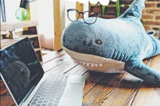 Акулка mood whatsapp stickers