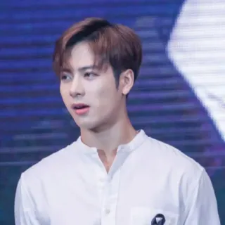 ⚔ f5266cc2 Jackson Wang Sänger, Promi, Porträt, K-Pop telegram sticker