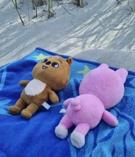 😎 983f088f thú nhồi bông, bãi biển, cát, khăn tắm, gấu, heo telegram sticker