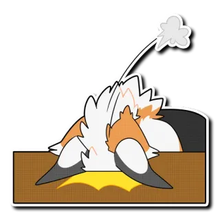 😤 2cf5d806 kat, verstoppen, grappig, doos, dier telegram sticker