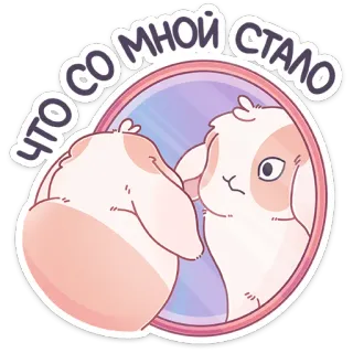 😐 94bc9461 что со мной стало konijn, spiegel, reflectie, verdrietig, schattig, cartoon, dier telegram sticker