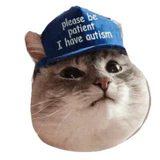 ✳️ 1b85573b please be patient I have autism kucing, autisme, pasien, stiker, topi, hewan whatsapp sticker