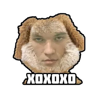 😄 7ab7a242 XOXOXO лицо, пушистый, объятие, любовь, нежность whatsapp sticker