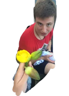 🌹 c99f98e5 telegram sticker