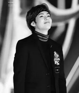 ⚜ d9bbc61f V K-pop, BTS, piosenkarz, idol, V, Kim Taehyung telegram sticker