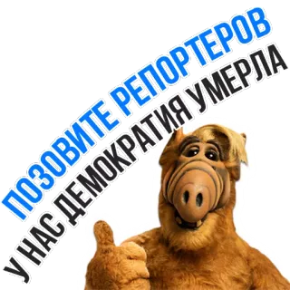 🙅 375a3cf0 Alf ПОЗОВИТЕ РЕПОРТЕРОВ
У НАС ДЕМОКРАТИЯ УМЕРЛА Alf, televisión, gracioso, ruso, llamar a reporteros, la democracia ha muerto telegram sticker