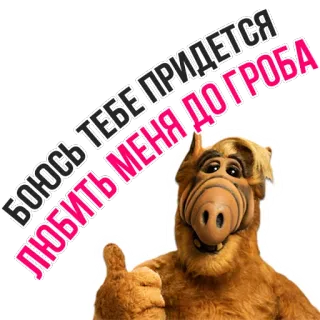 😘 893bcb9e Alf ALF БОЮСЬ ТЕБЕ ПРИДЕТСЯ ЛЮБИТЬ МЕНЯ ДО ГРОБА Alien, Marioneta, Serie TV, Años 80, Humor telegram sticker