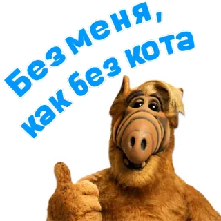 🐱 b0e6aba7 ALF Без меня, как без кота ALF, Alien, Gato, Divertido, Nostalgia, Televisión telegram sticker