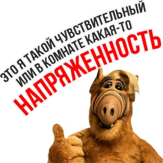 😰 b7d1177d ALF ALF (TV series) ЭТО Я ТАКОЙ ЧУВСТВИТЕЛЬНЫЙ ИЛИ В КОМНАТЕ КАКАЯ-ТО НАПРЯЖЕННОСТЬ ALF, Serie de TV, Extraterrestre, Ruso, Sensible, Tensión telegram sticker