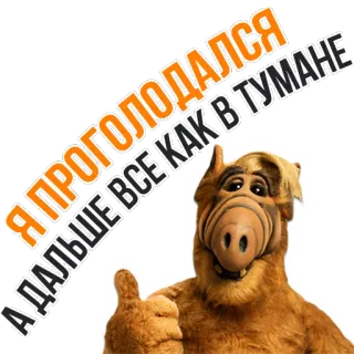 🍩 db3f304b Alf Я ПРОГОЛОДАЛСЯ, ДАЛЬШЕ ВСЕ КАК В ТУМАНЕ Alf, Extraterrestre, Serie de TV, Dibujos animados, Humor, Pulgares arriba telegram sticker