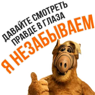 😎 efd19c0f ALF ALF (TV series) ДАВАЙТЕ СМОТРЕТЬ ПРАВДЕ В ГЛАЗА Я НЕЗАБЫВАЕМ ALF, Alien, TV años 80, Vida extraterrestre, Texto ruso, Pulgar arriba telegram sticker