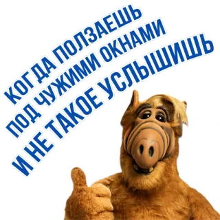 😱 fcab5eb2 Alf ALF КОГДА ПОЛЗАЕШЬ ПОД ЧУЖИМИ ОКНАМИ И НЕ ТАКОЕ УСЛЫШИШЬ Alf, Serie de TV, Alien, Melmac, Sitcom 80s, Marioneta telegram sticker