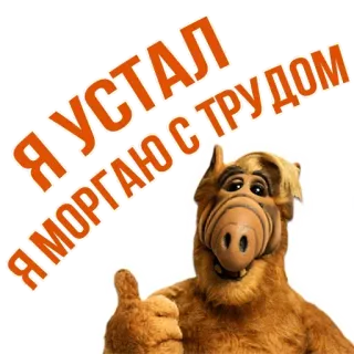 😪 1ef3e947 Alf ALF Я УСТАЛ Я МОРГАЮ С ТРУДОМ Альф, инопланетянин, уставший, русский, мультяшный персонаж, большой палец вверх whatsapp sticker