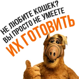 🙀 27e1cd3c Alf ALF НЕ ЛЮБИТЕ КОШЕК? ВЫ ПРОСТО НЕ УМЕЕТЕ ИХ ГОТОВИТЬ Альф, Сериал, Инопланетянин, Ситком, Комедия, Русский, Большой палец вверх whatsapp sticker