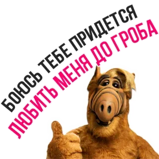 😘 3e8cbc0b Alf ALF БОЮСЬ ТЕБЕ ПРИДЕТСЯ ЛЮБИТЬ МЕНЯ ДО ГРОБА Альф, Сериал, Инопланетянин, Мультфильм, Русский текст, Юмор, Ретро whatsapp sticker