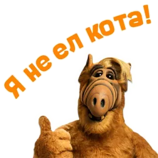😂 432fb7e8 Alf Я не ел кота! Альф, Инопланетянин, Сериал, Кот, Мультфильм whatsapp sticker