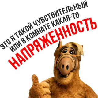 😰 49c72413 Alf ALF ЭТО Я ТАКОЙ ЧУВСТВИТЕЛЬНЫЙ ИЛИ В КОМНАТЕ КАКАЯ-ТО НАПРЯЖЕННОСТЬ Альф, Пришелец, Телевидение, Комедия, 80-е, Ситком, ТВ-шоу whatsapp sticker