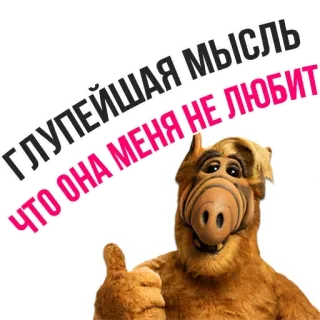 😎 52df7b6b Alf ГЛУПЕЙШАЯ МЫСЛЬ
ЧТО ОНА МЕНЯ НЕ ЛЮБИТ Альф, сериал, инопланетянин, смешно, русский, текст, палец вверх, мультфильм whatsapp sticker
