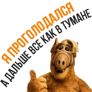 🍩 7fb91686 Alf Я ПРОГОЛОДАЛСЯ ДАЛЬШЕ ВСЕ КАК В ТУМАНЕ Альф, Мультфильм, Голодный, Русский, Смешной, ТВ-шоу whatsapp sticker