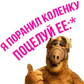 😘 833dd7cd Alf Я ПОРАНИЛ КОЛЕНКУ, ПОЦЕЛУЙ ЕЕ:-* Альф, Пришелец, Сериал, 80-е, Русский текст, Мультфильм whatsapp sticker