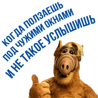 😱 95a60447 Alf ALF КОГДА ПОЛЗАЕШЬ ПОД ЧУЖИМИ ОКНАМИ И НЕ ТАКОЕ УСЛЫШИШЬ Альф, Сериал, Инопланетянин, Русский, Смешной, Юмор, Ретро whatsapp sticker