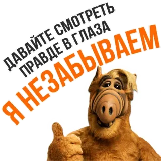 😎 dd2e2850 ALF ДАВАЙТЕ СМОТРЕТЬ ПРАВДЕ В ГЛАЗА. Я НЕ ЗАБЫВАЕМ Альф, Пришелец, Сериал, 80-е, Ситком, Кукла, Мультфильм whatsapp sticker