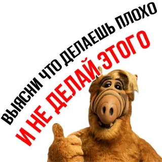 😅 ddfa79a5 Alf ВЫЯСНИ ЧТО ДЕЛАЕШЬ ПЛОХО И НЕ ДЕЛАЙ ЭТОГО Альф, ТВ 80-х, инопланетянин, смешной, цитата, ретро, юмор whatsapp sticker