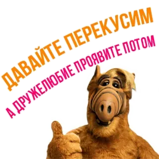 🍿 f108769d ALF ДАВАЙТЕ ПЕРЕКУСИМ
А ДРУЖЕЛЮБИЕ ПРОЯВИТЕ ПОТОМ АЛФ, инопланетянин, телешоу, смешной, палец вверх, 80-е, русский, текст whatsapp sticker
