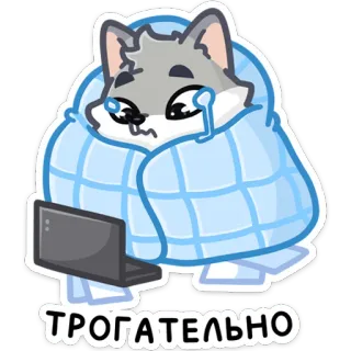 😭 54242a72 ТРОГАТЕЛЬНО น่ารัก, สัตว์, เศร้า, แล็ปท็อป, ผ้าห่ม, การ์ตูน, หมาป่า telegram sticker