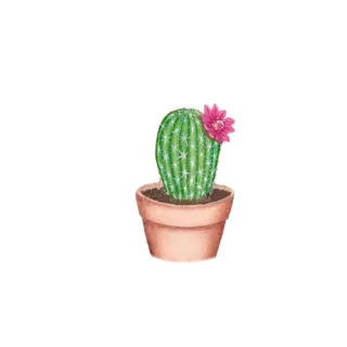 🌵 059d4ec1 cactus, plant, flower, potted plant, succulent whatsapp sticker