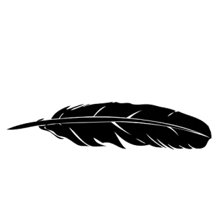 🍃 1a4d9d0e feather, black, silhouette, light, quill, drawing, nature whatsapp sticker