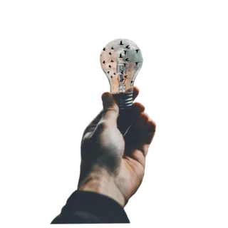 💡 1a8c0551 light bulb, idea, hand, innovation, creativity, inspiration, birds whatsapp sticker