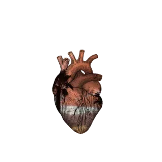 @al_gurabaa telegram stickers