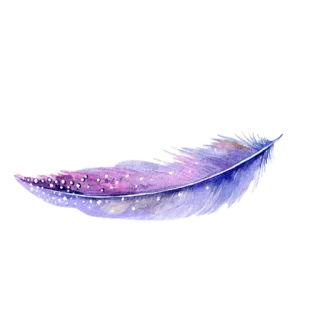 🕊 7381b4c9 feather, watercolor, purple, delicate, light, soft, art, bird whatsapp sticker