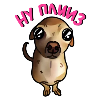🙇 7780d735 НУ ПЛИЗ Hund, Bitte, Süß, Bettelnd, Chihuahua, Welpe telegram sticker