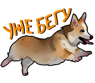 🐕 e24f196a УЖЕ БЕГУ corgi, hund, rennen, tier, süß, cartoon telegram sticker