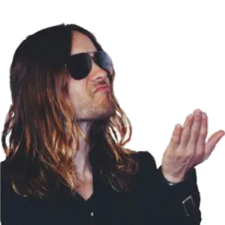 😍 7fc0e1a2 persona, celebridad, hombre, gafas de sol, peinado, retrato telegram sticker